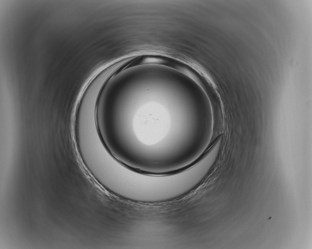 X0000116371104200912021148