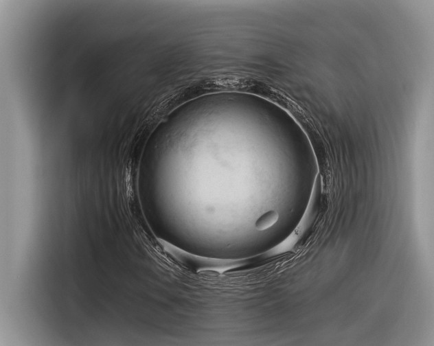 X0000116371106200912021148