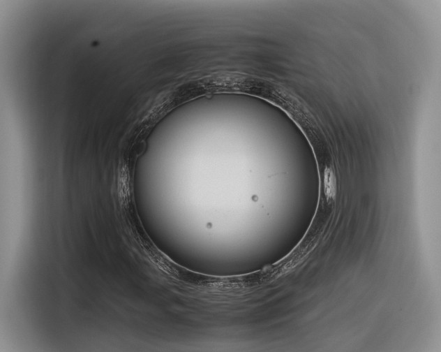 X0000116371107200912021148