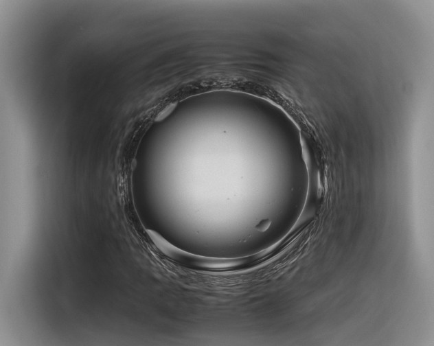 X0000116371109200912021148
