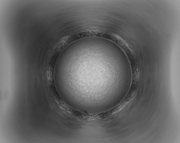 X0000116371110200912021148