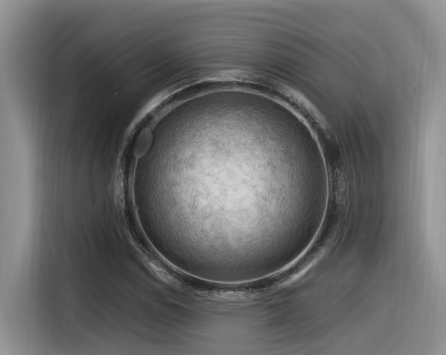 X0000116371114200912021148