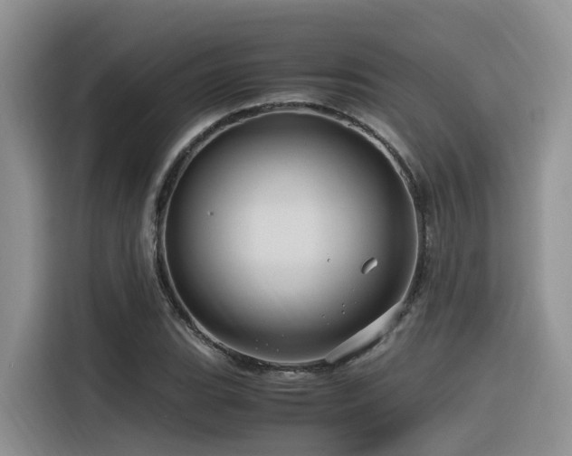 X0000116371119200912021148