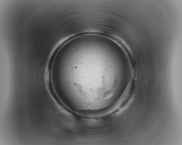 X0000116371125200912021148