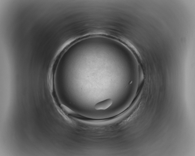 X0000116371127200912021148