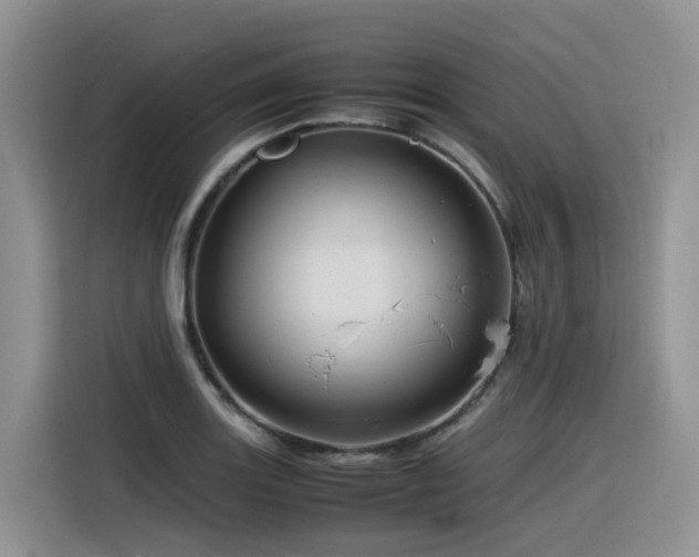 X0000116371131200912021148