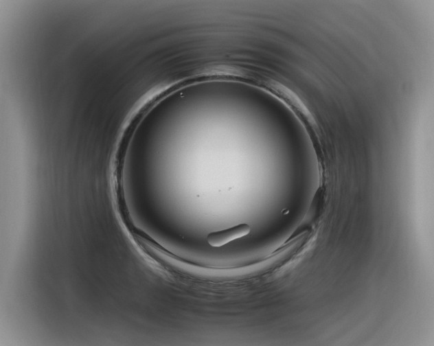 X0000116371133200912021148