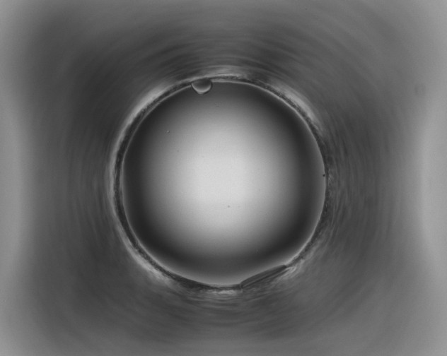 X0000116371135200912021148
