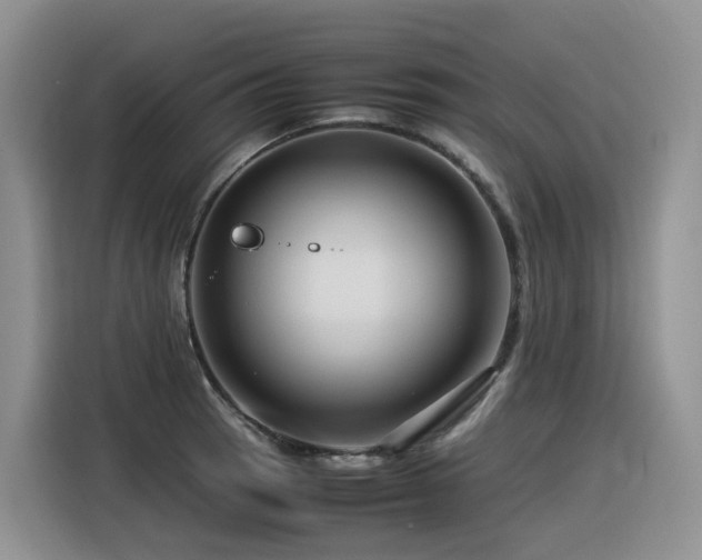 X0000116371137200912021148