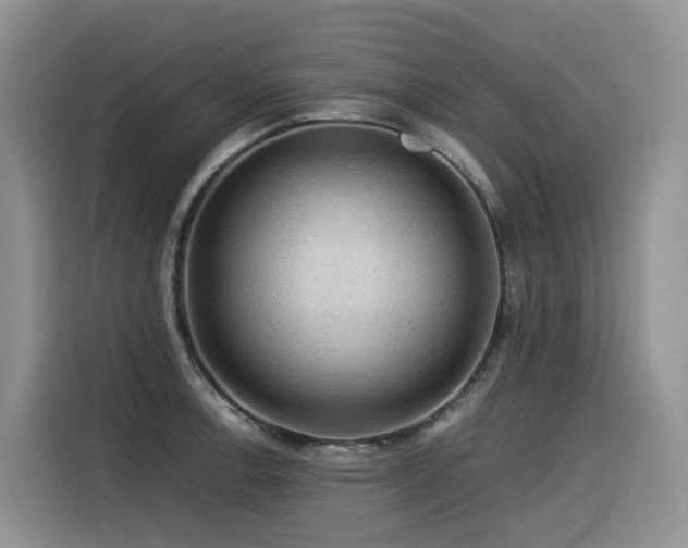 X0000116371138200912021148