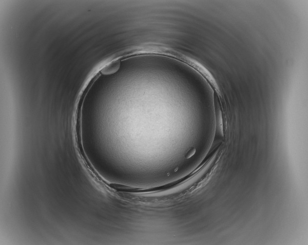 X0000116371146200912021148