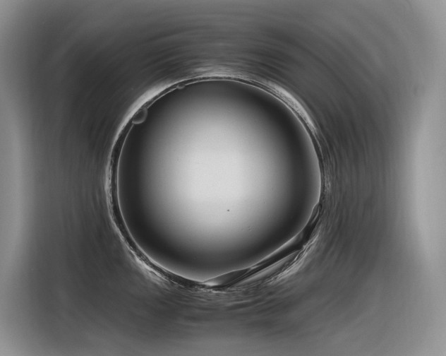 X0000116371149200912021148