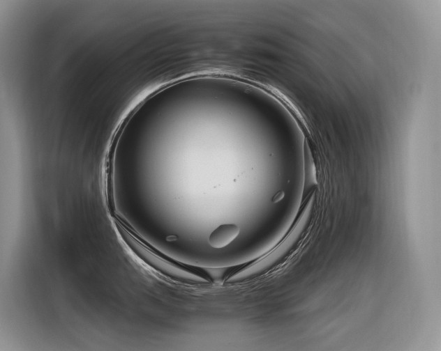 X0000116371151200912021148
