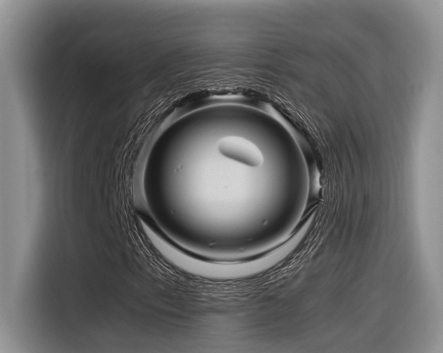 X0000116371153200912021148