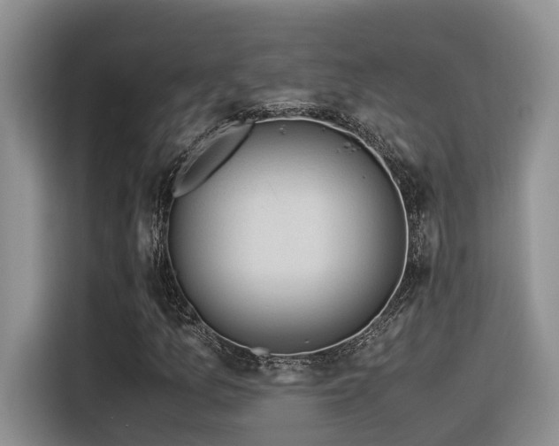 X0000116371157200912021148