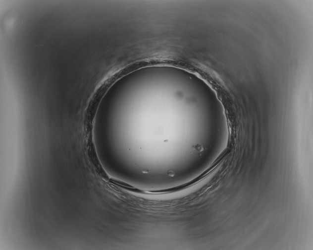 X0000116371160200912021148