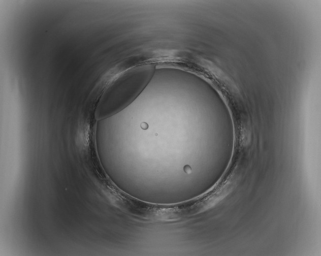 X0000116371161200912021147