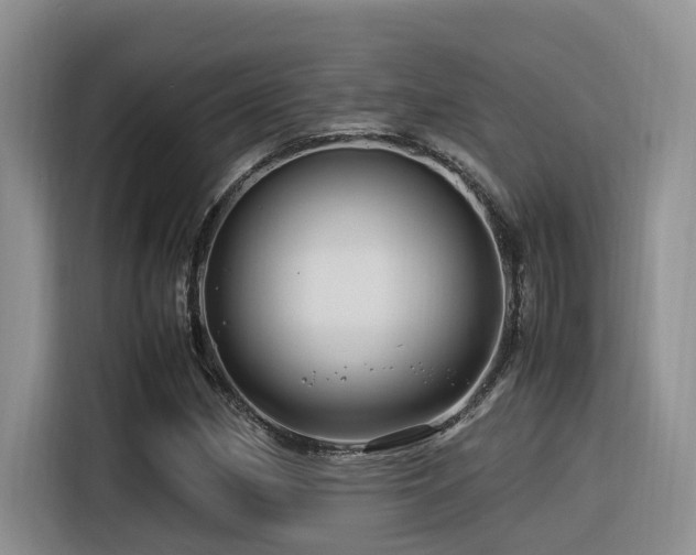 X0000116371162200912021147