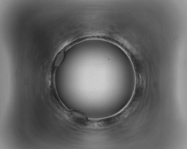 X0000116371165200912021147