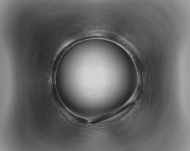X0000116371166200912021147