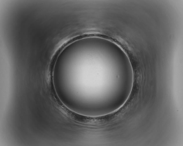 X0000116371167200912021147