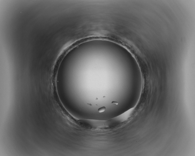 X0000116371168200912021147