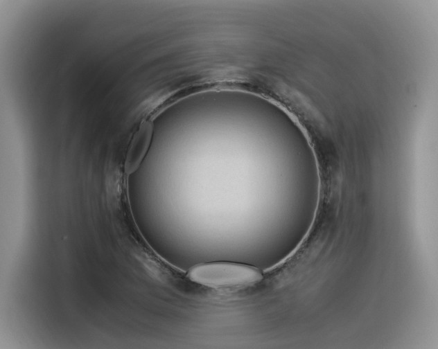 X0000116371169200912021147