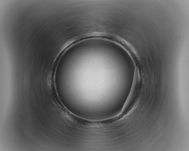 X0000116371170200912021147