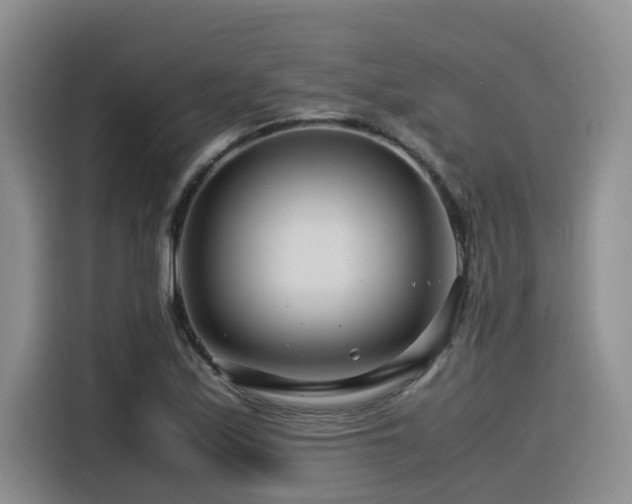X0000116371171200912021147