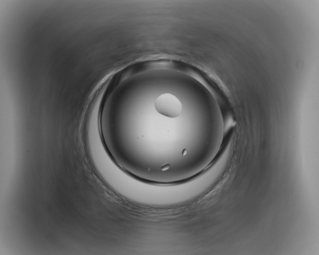 X0000116371173200912021147