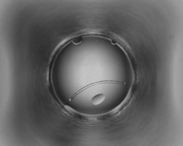 X0000116371174200912021147