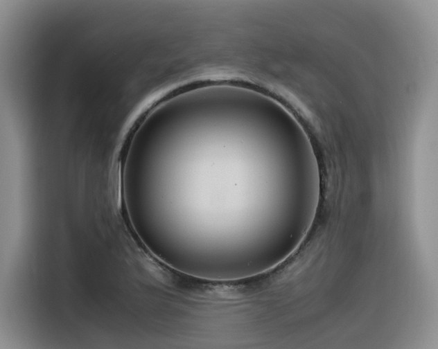 X0000116371175200912021147