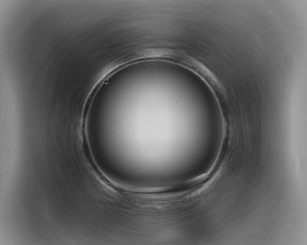 X0000116371178200912021147