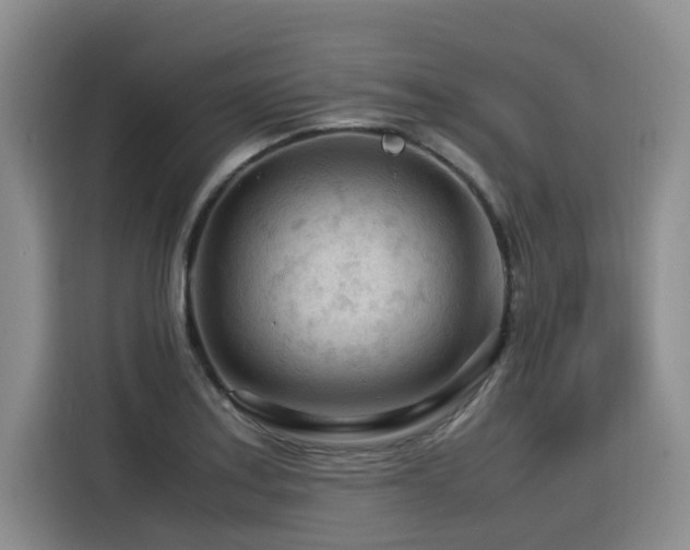 X0000116371179200912021147