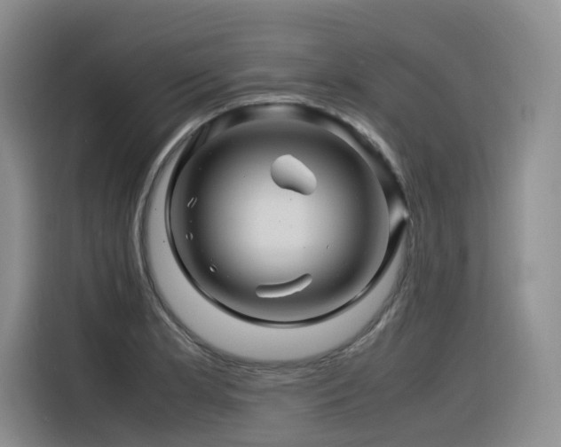 X0000116371181200912021147