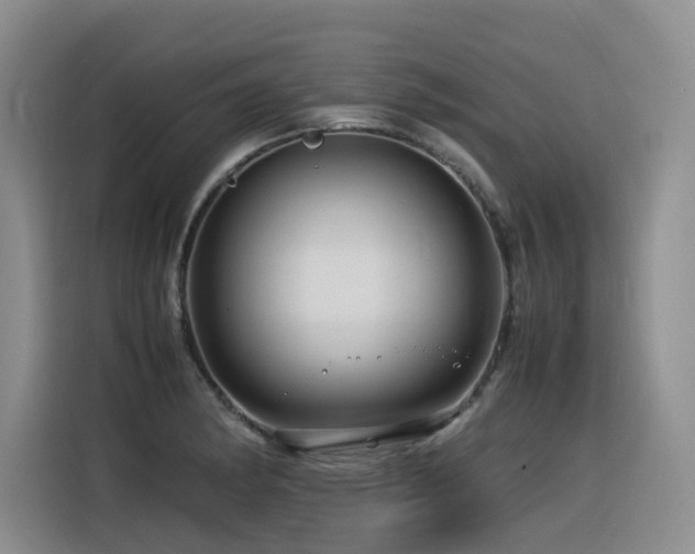 X0000116371182200912021147