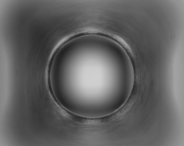 X0000116371183200912021147