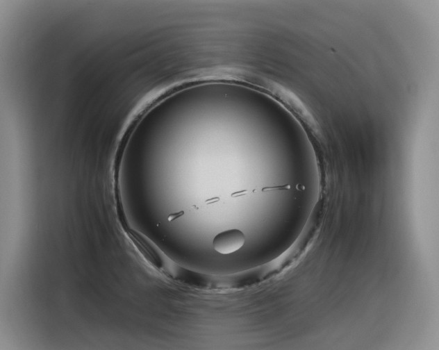 X0000116371184200912021147