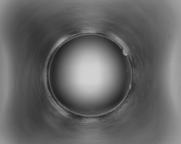 X0000116371187200912021147