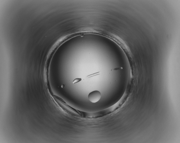 X0000116371188200912021147