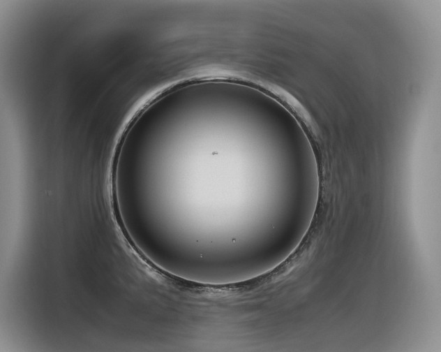 X0000116371191200912021147