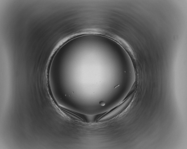 X0000116371192200912021147