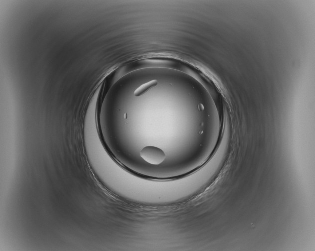X0000116371193200912021147