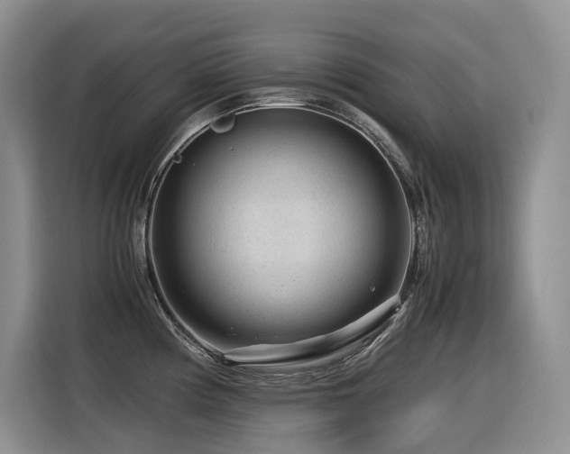 X0000116371194200912021147