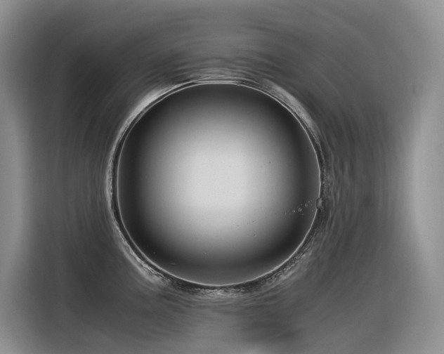 X0000116371195200912021147