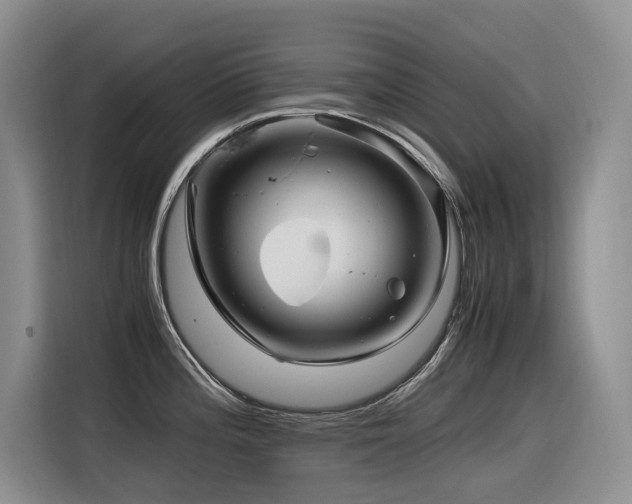 X0000116371196200912021147