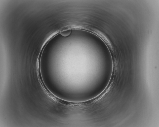 X0000116371198200912021147