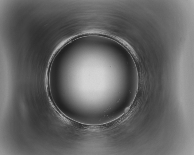 X0000116371199200912021147