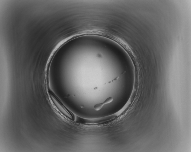 X0000116371200200912021147