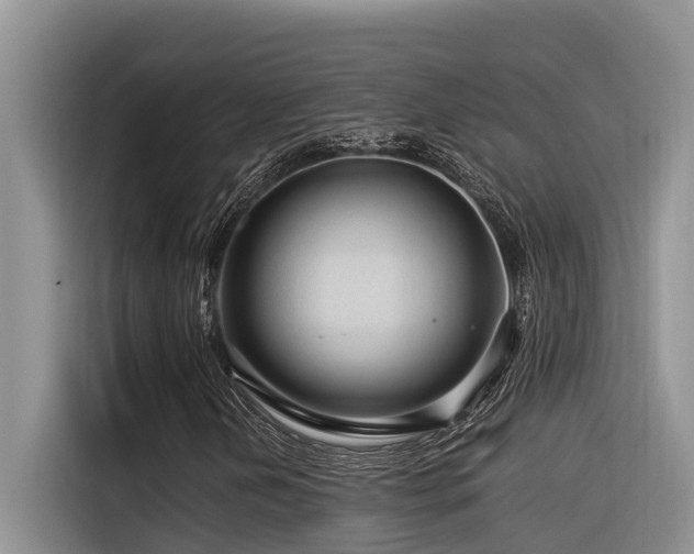 X0000116371202200912021146